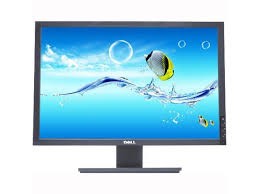 Monitor LCD DELL E2209WF 22 inch 5 ms wide